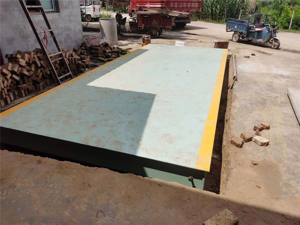1597397506178562.jpg